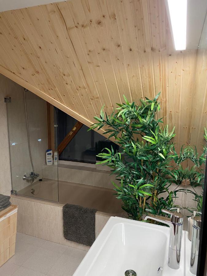 Appartement Atico Duplex Reformado Con Vistas A La Montana à Canfranc Extérieur photo